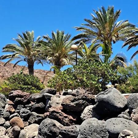 アパート Casa Beno パルム・マール